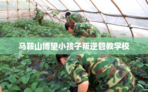 马鞍山博望小孩子叛逆管教学校 马鞍山博望小孩子叛逆管教学校