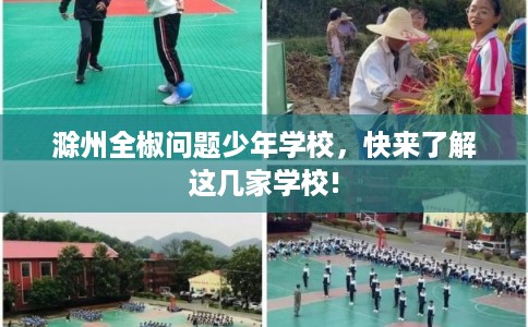 滁州全椒问题少年学校,快来了解这几家学校! 滁州全椒问题少年学校,快来了解这几家学校!