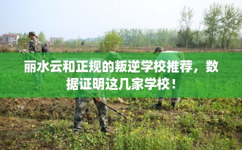 丽水云和正规的叛逆学校推荐，数据证明这几家学校！
