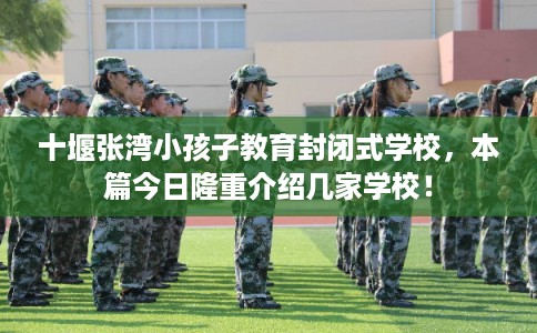 十堰张湾小孩子教育封闭式学校，本篇今日隆重介绍几家学校！