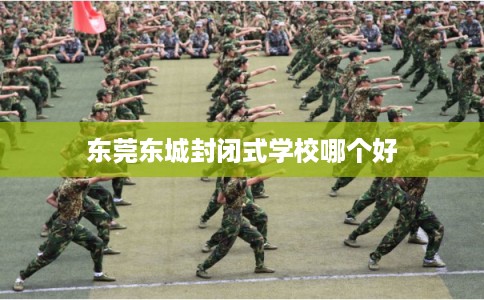 东莞东城封闭式学校哪个好