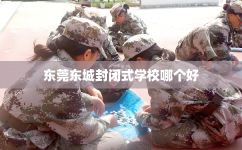 东莞东城封闭式学校哪个好