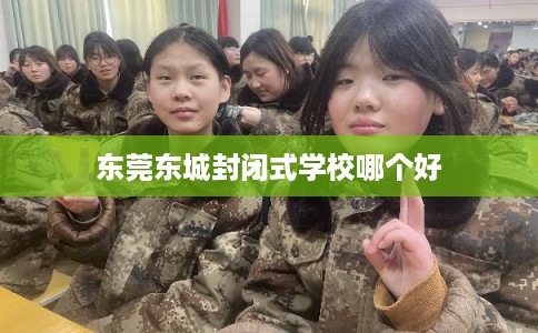 东莞东城封闭式学校哪个好