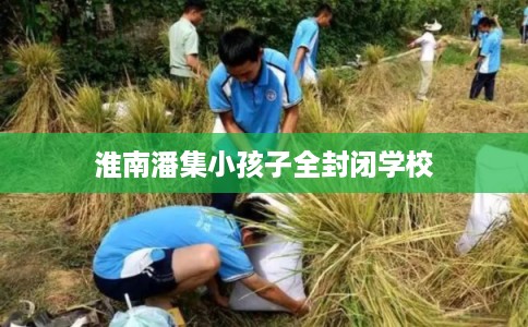 淮南潘集小孩子全封闭学校