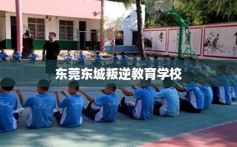 东莞东城叛逆教育学校 东莞东城叛逆教育学校