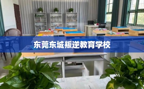 东莞东城叛逆教育学校
