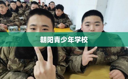 朝阳青少年学校 朝阳青少年学校