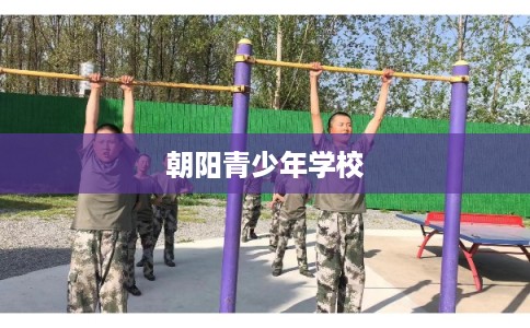 朝阳青少年学校 朝阳青少年学校