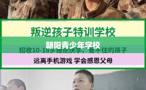 朝阳青少年学校 朝阳青少年学校