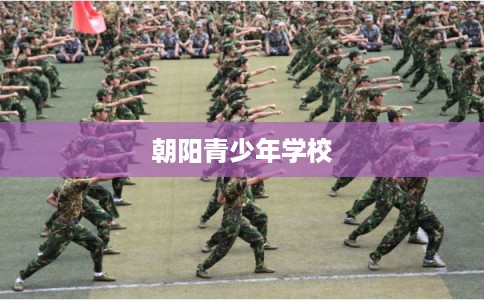朝阳青少年学校