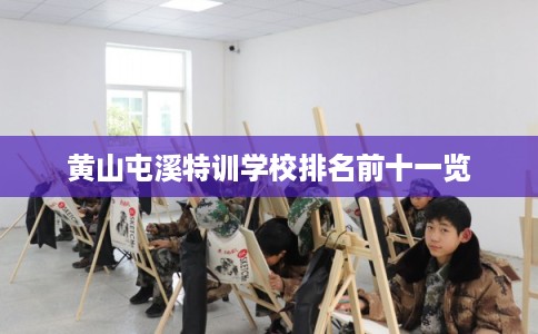 黄山屯溪特训学校排名前十一览