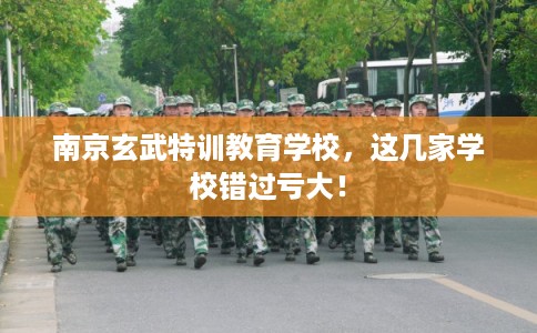 南京玄武特训教育学校,这几家学校错过亏大! 南京玄武特训教育学校,这几家学校错过亏大!