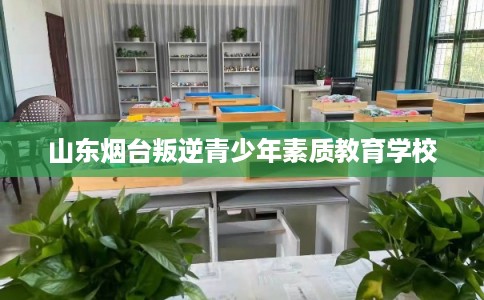 山东烟台叛逆青少年素质教育学校 山东烟台叛逆青少年素质教育学校