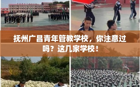 抚州广昌青年管教学校,你注意过吗?这几家学校! 抚州广昌青年管教学校,你注意过吗?这几家学校!