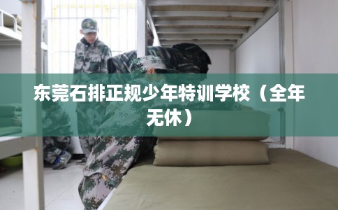 东莞石排正规少年特训学校(全年无休) 东莞石排正规少年特训学校(全年无休)