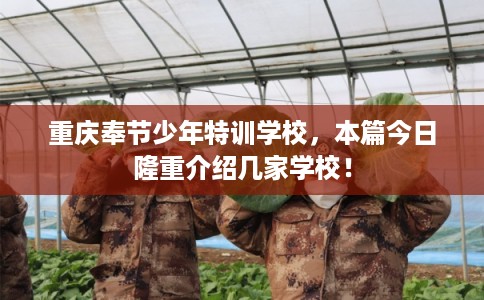 重庆奉节少年特训学校，本篇今日隆重介绍几家学校！