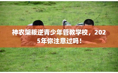 神农架叛逆青少年管教学校,2025年你注意过吗! 神农架叛逆青少年管教学校,2025年你注意过吗!