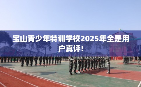 宝山青少年特训学校2025年全是用户真评!