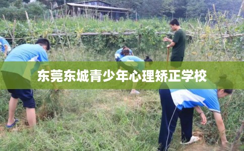 东莞东城青少年心理矫正学校