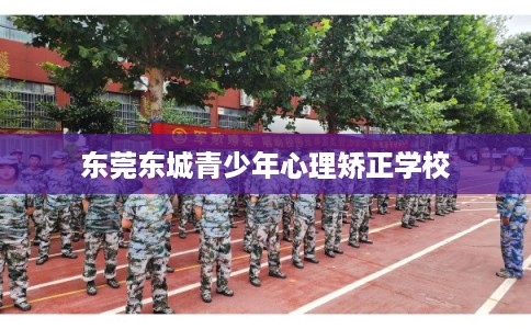 东莞东城青少年心理矫正学校