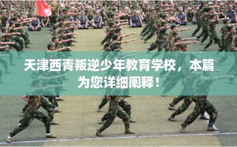 天津西青叛逆少年教育学校，本篇为您详细阐释！