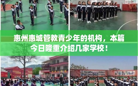 惠州惠城管教青少年的机构，本篇今日隆重介绍几家学校！