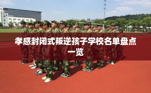 孝感封闭式叛逆孩子学校名单盘点一览