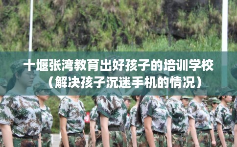 十堰张湾教育出好孩子的培训学校（解决孩子沉迷手机的情况）