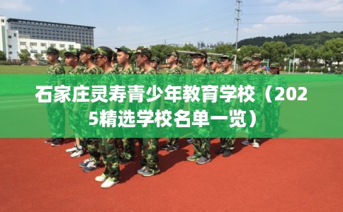 石家庄灵寿青少年教育学校（2025精选学校名单一览）