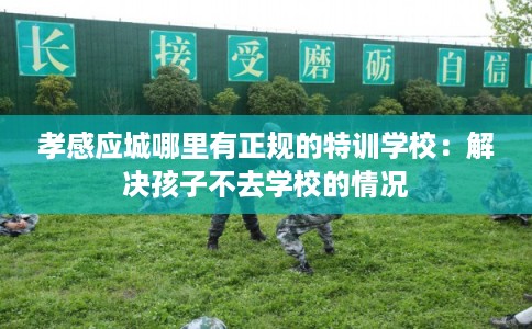 孝感应城哪里有正规的特训学校:解决孩子不去学校的情况 孝感应城哪里有正规的特训学校:解决孩子不去学校的情况