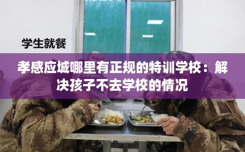 孝感应城哪里有正规的特训学校:解决孩子不去学校的情况 孝感应城哪里有正规的特训学校:解决孩子不去学校的情况