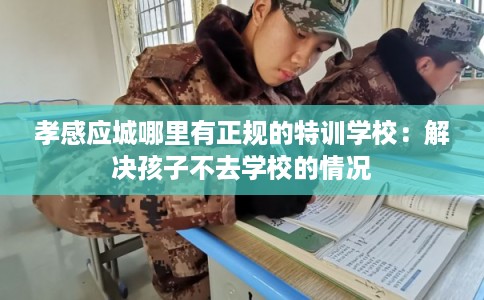 孝感应城哪里有正规的特训学校：解决孩子不去学校的情况