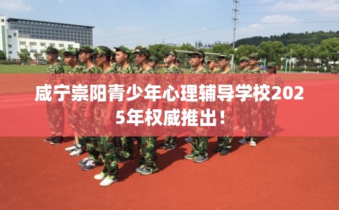 咸宁崇阳青少年心理辅导学校2025年权威推出！