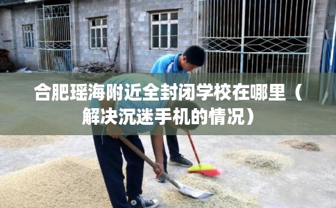 合肥瑶海附近全封闭学校在哪里(解决沉迷手机的情况) 合肥瑶海附近全封闭学校在哪里(解决沉迷手机的情况)