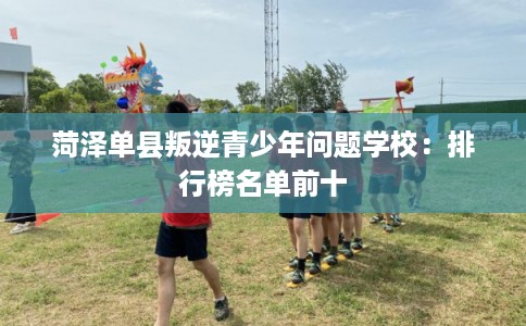 菏泽单县叛逆青少年问题学校:排行榜名单前十 菏泽单县叛逆青少年问题学校:排行榜名单前十