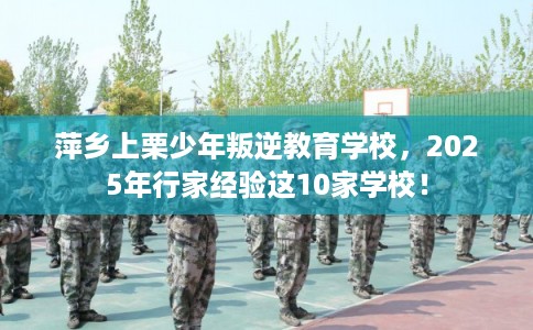 萍乡上栗少年叛逆教育学校，2025年行家经验这10家学校！