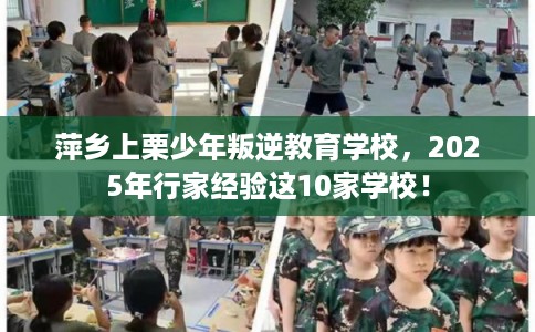 萍乡上栗少年叛逆教育学校，2025年行家经验这10家学校！