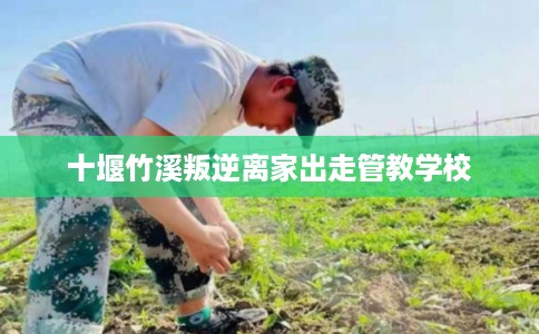 十堰竹溪叛逆离家出走管教学校