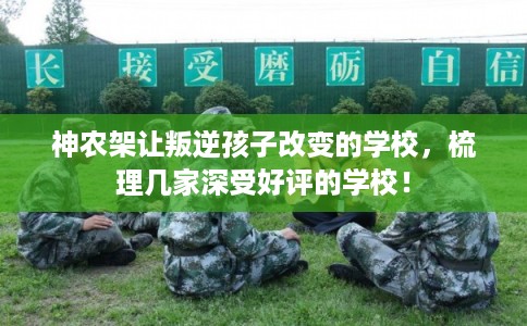 神农架让叛逆孩子改变的学校，梳理几家深受好评的学校！