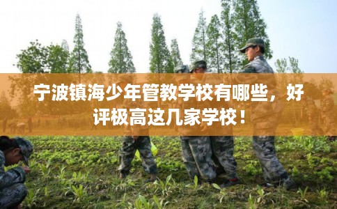 宁波镇海少年管教学校有哪些，好评极高这几家学校！
