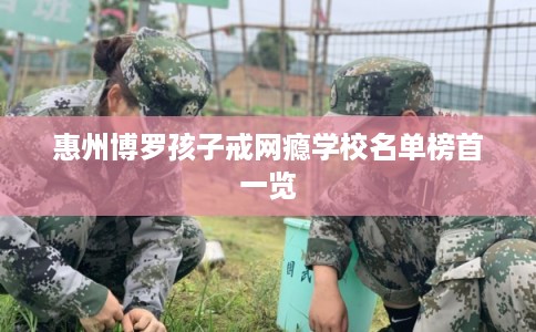 惠州博罗孩子戒网瘾学校名单榜首一览 惠州博罗孩子戒网瘾学校名单榜首一览