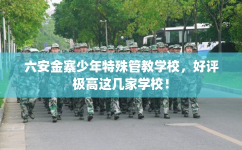 六安金寨少年特殊管教学校，好评极高这几家学校！