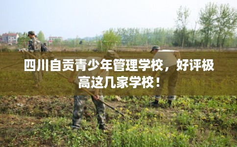 四川自贡青少年管理学校，好评极高这几家学校！
