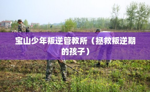 宝山少年叛逆管教所（拯救叛逆期的孩子）