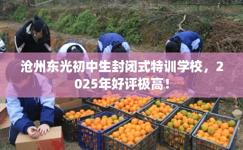 沧州东光初中生封闭式特训学校，2025年好评极高！