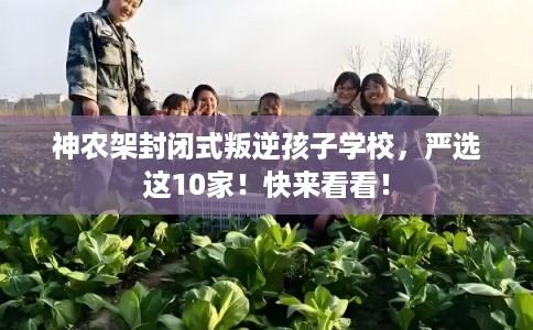 神农架封闭式叛逆孩子学校，严选这10家！快来看看！
