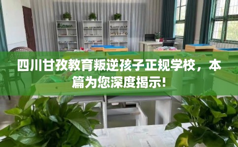 四川甘孜教育叛逆孩子正规学校，本篇为您深度揭示!