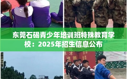 东莞石碣青少年培训班特殊教育学校：2025年招生信息公布