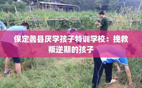 保定蠡县厌学孩子特训学校：挽救叛逆期的孩子