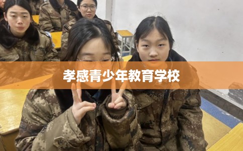 孝感青少年教育学校